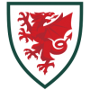 Fodboldtøj Wales